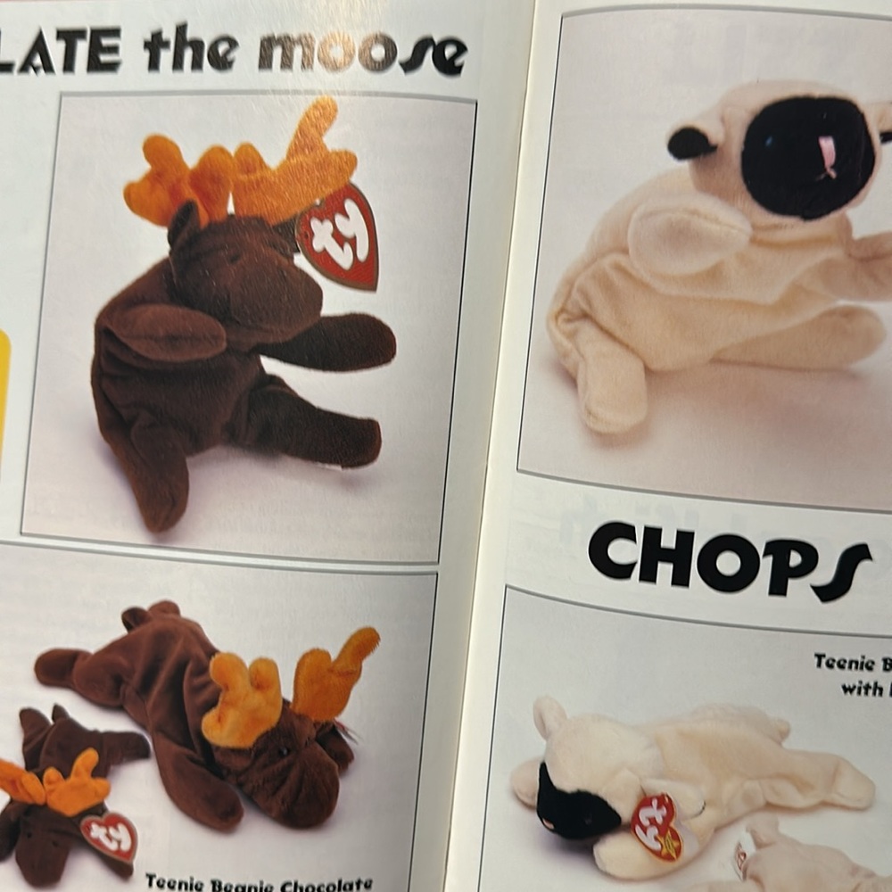 Magazine - Picture 5 of 5